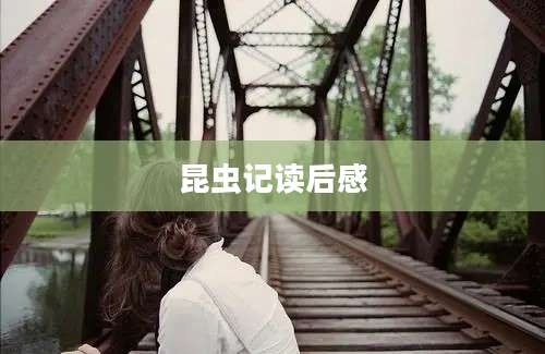 昆虫记读后感