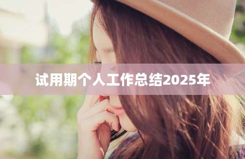 试用期个人工作总结2025年