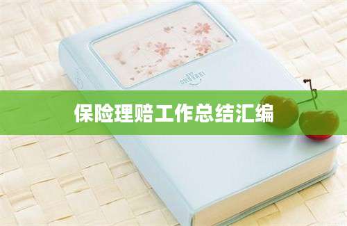保险理赔工作总结汇编