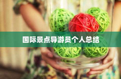 国际景点导游员个人总结