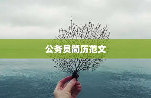 公务员简历范文