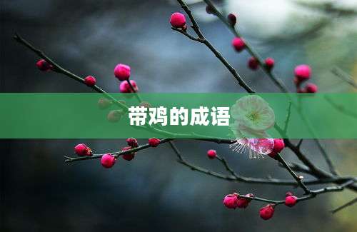 带鸡的成语