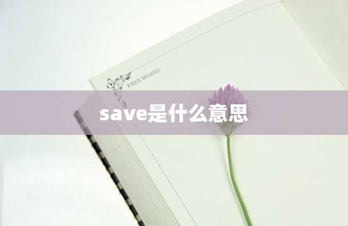save是什么意思
