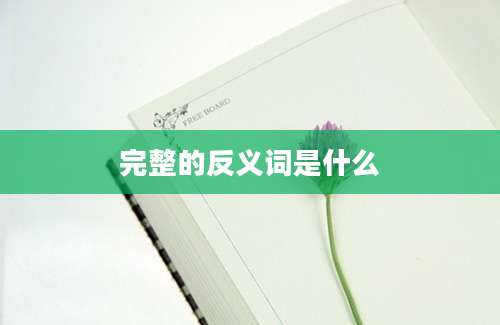 完整的反义词是什么