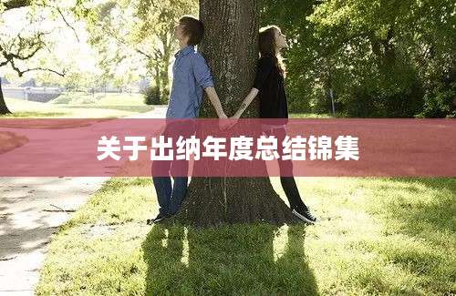 关于出纳年度总结锦集