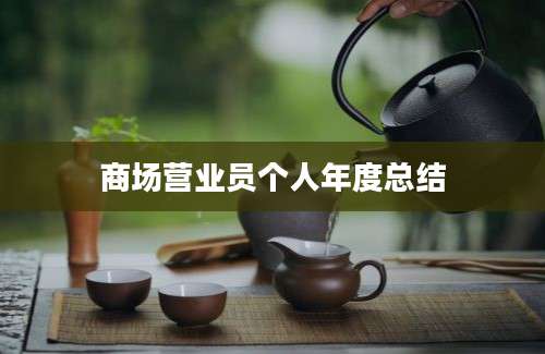 商场营业员个人年度总结