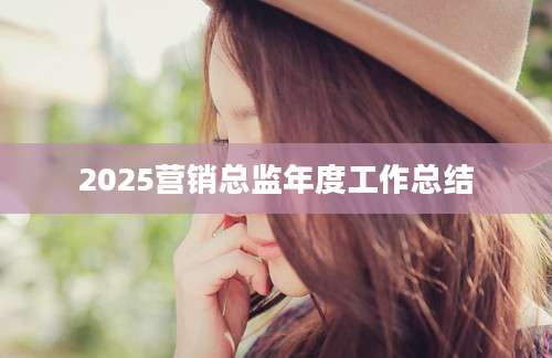 2025营销总监年度工作总结