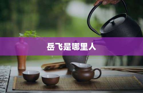 岳飞是哪里人