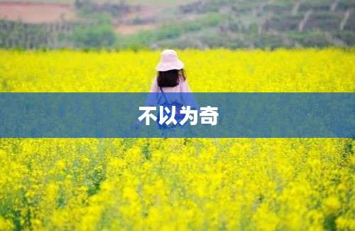 不以为奇