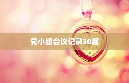 党小组会议记录30篇