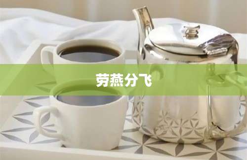 劳燕分飞