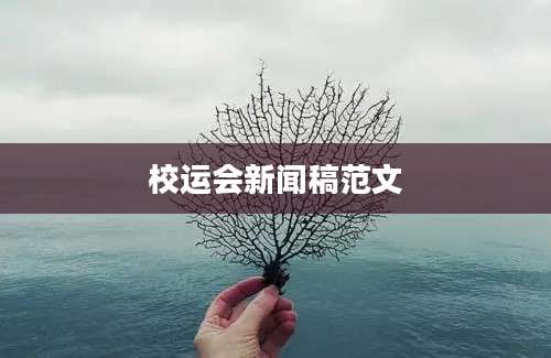 校运会新闻稿范文