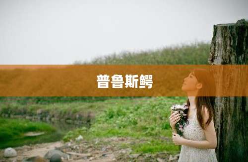 普鲁斯鳄