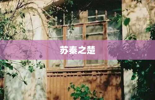 苏秦之楚