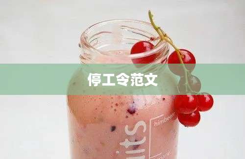 停工令范文