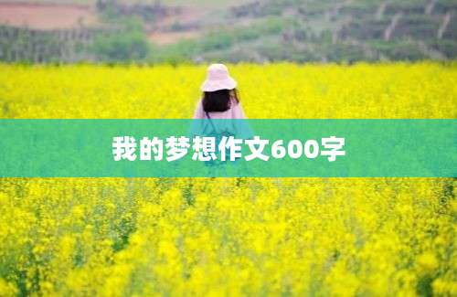 我的梦想作文600字