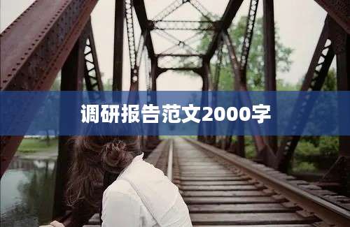 调研报告范文2000字