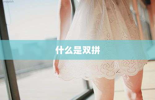 什么是双拼