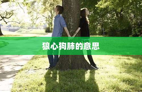 狼心狗肺的意思