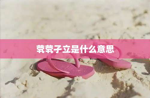 茕茕孑立是什么意思