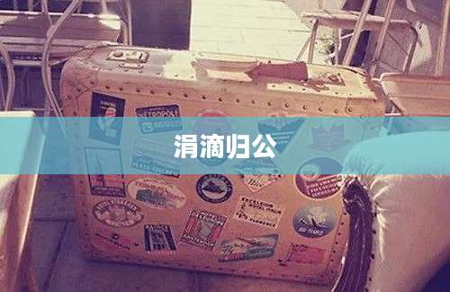 涓滴归公