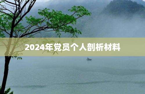 2024年党员个人剖析材料