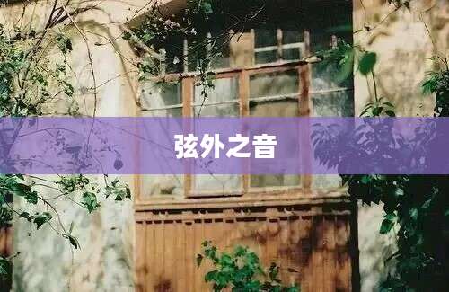 弦外之音
