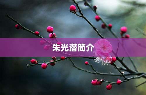 朱光潜简介
