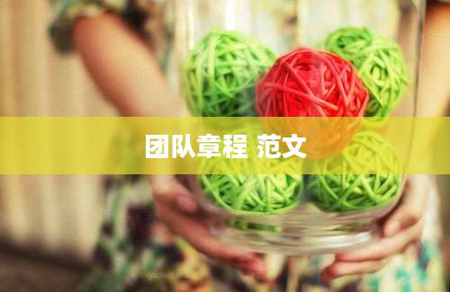 团队章程 范文