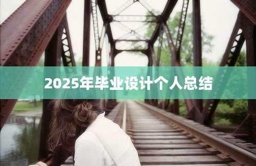 2025年毕业设计个人总结