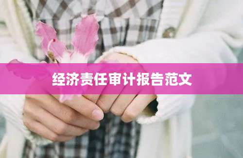经济责任审计报告范文