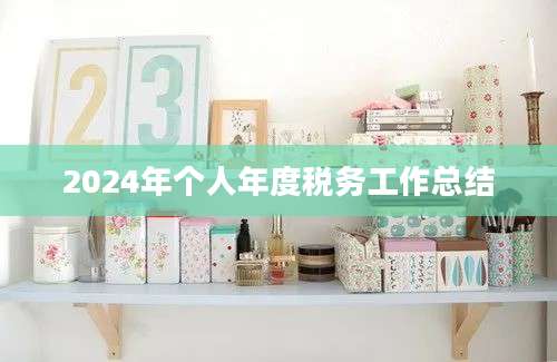 2024年个人年度税务工作总结