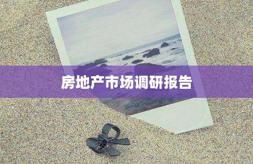 房地产市场调研报告