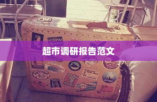 超市调研报告范文