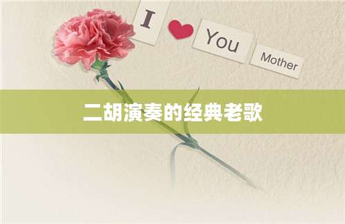 二胡演奏的经典老歌