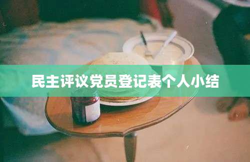 民主评议党员登记表个人小结