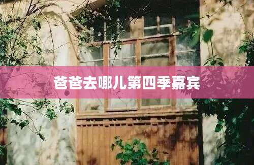 爸爸去哪儿第四季嘉宾