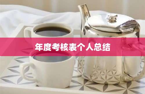 年度考核表个人总结