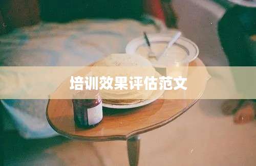 培训效果评估范文