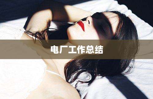 电厂工作总结