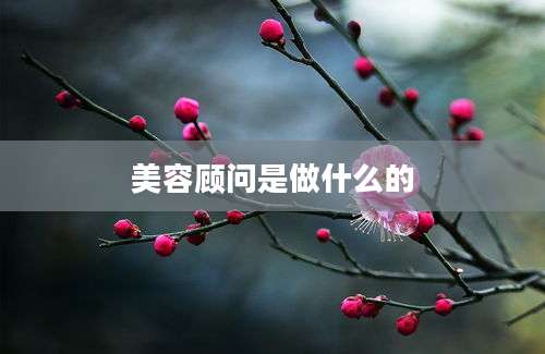 美容顾问是做什么的