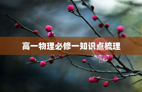 高一物理必修一知识点梳理