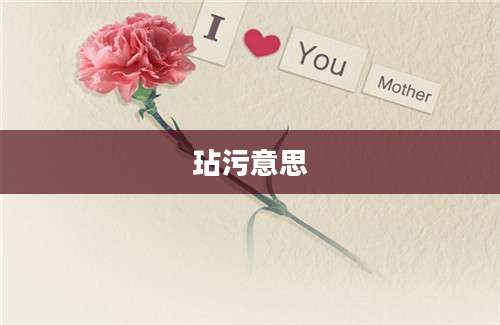 玷污意思