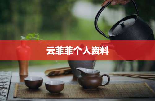 云菲菲个人资料
