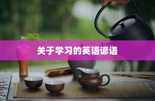 关于学习的英语谚语