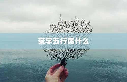 豪字五行属什么