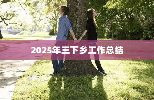 2025年三下乡工作总结