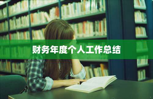 财务年度个人工作总结