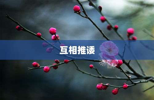 互相推诿