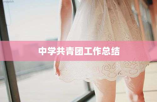 中学共青团工作总结